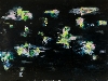 Louis Cane : Louis Cane - Peinture abstraite traditionnelle - 2011 Huile sur toile - 190 x 190 cm. Photo Alberto Ricci © Adagp, Paris, 2012 